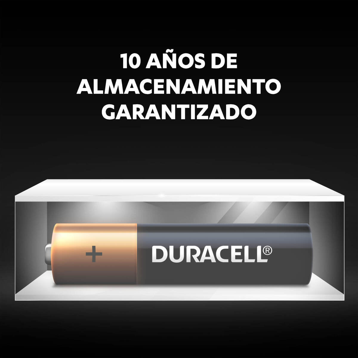 Tira 6 Pilas Duracell AA